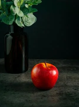 Apples in a dramatic low key concept with a dark background in variety angles Stock Photos
