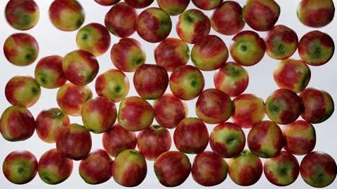 Apples drop down ground   fruit video animation white background Stock Footage 231999808