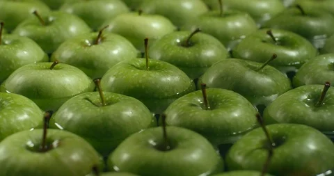 Apples falling into water slow motion. Apples in the Water. Stock Footage 97408704