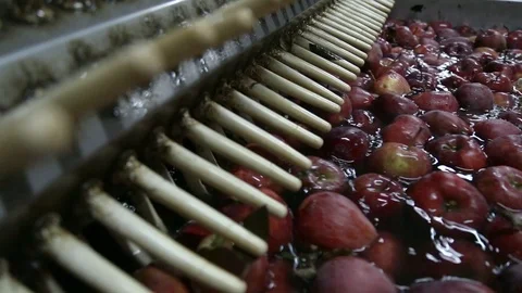 Apples Floating in Water in Packing Warehouse. Red apples are sorted and washed. Stockbeeldmateriaal 125660384