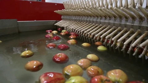 Apples Floating in Water in Packing Warehouse. Red apples are sorted and washed. Stockbeeldmateriaal 125666444