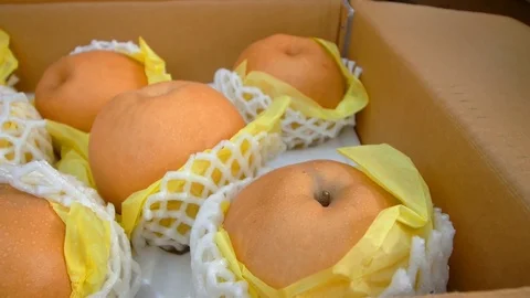 Apples Video stock 74399719