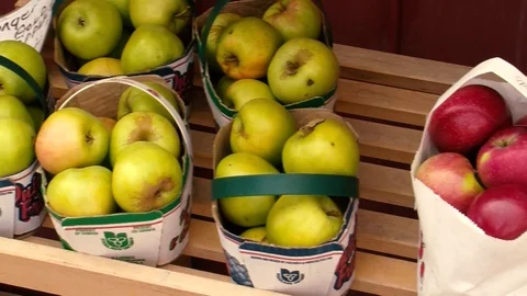 Apples Stock Footage 108554606