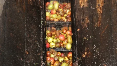 Apples Stock Footage 120899424