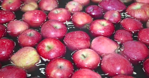 Apples in a fruit packing warehouse Stock Footage 208136092