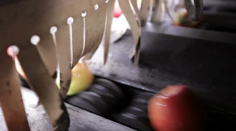 Apples going into Factory Vídeo Stock 32787218