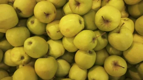 Apples of the Golden variety in large quantities. Stock Footage 161622722