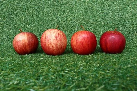 Apples on grass Stock Photos