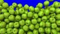 Apples green fill screen transition composite overlay element 4K 4k or 4k+ Resolution