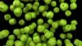 Apples green fill screen transition composite overlay element 4K 4k or 4k+ Resolution