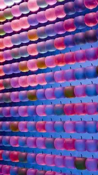 Apples in grid pattern.... Stock Photos