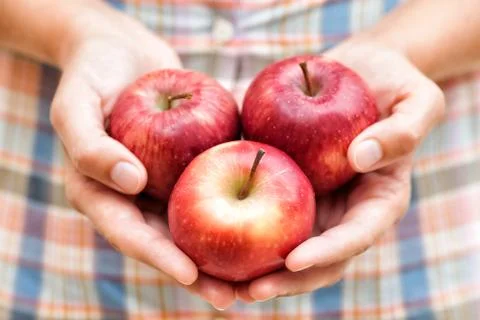 Apples in hands Stock Photos
