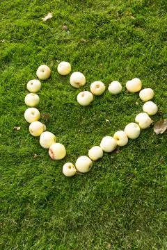 Apples on heart-shape on grass Foto stock