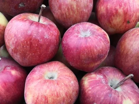 Apples Image close-up shot Stock Photos