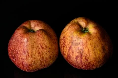 Apples on isolated black background Stock Photos