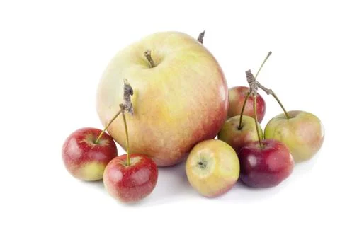 Apples isolated on white background Stock Photos