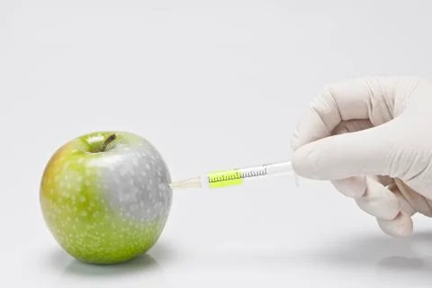 Apples in the lab. Stock Photos