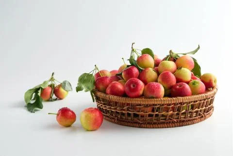 Apples on a light background Stock Photos