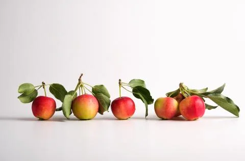 Apples on a light background Stock Photos
