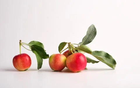 Apples on a light background Stock Photos