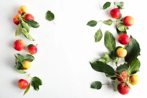 Apples on a light background Stock Photos