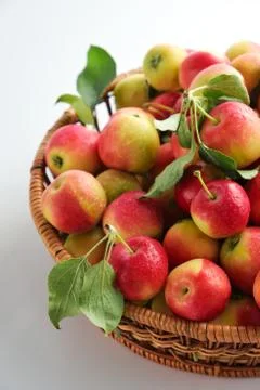 Apples on a light background Stock Photos
