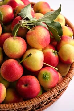 Apples on a light background Stock Photos