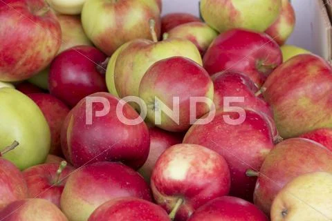 Apples at the market Stock Photos