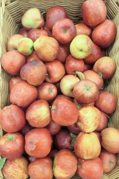 Apples at a market Stock Photos