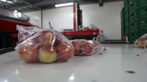 Apples packed in a plastic bag move along the conveyor. Stockbeeldmateriaal 125663083