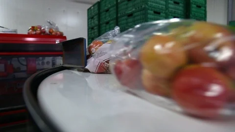 Apples packed in a plastic bag move along the conveyor. Stockbeeldmateriaal 125663579