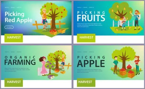 Apples pears plums picking flat set Illustrazione stock