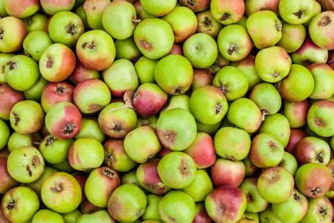 Apples in Peru Stock Photos