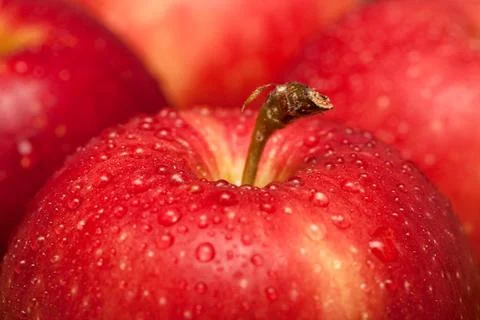Apples Stock Photos