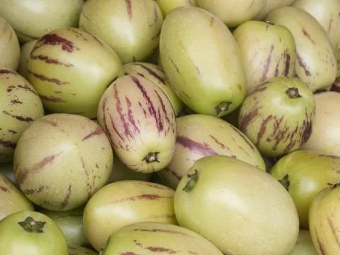 Apples 스톡 사진