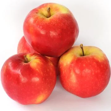 Apples Stock Photos