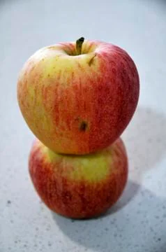 Apples 写真素材