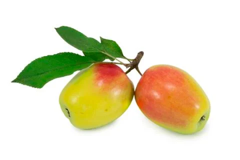 Apples Stock Photos