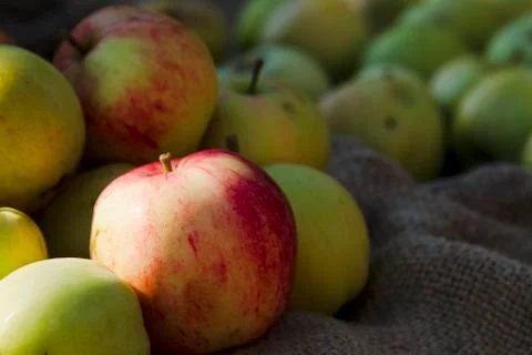 Apples Stock Photos