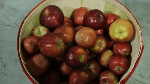 Apples Stock Photos