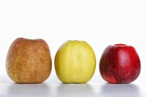 Apples. Stock Photos