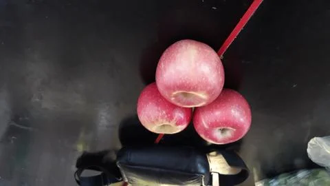 Apples, Stock Photos