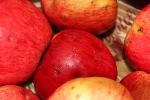 Apples Stock Photos