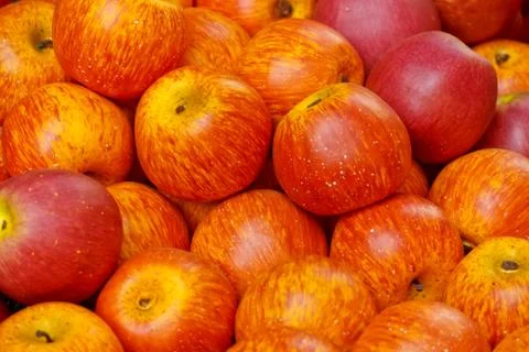 Apples Stock Photos