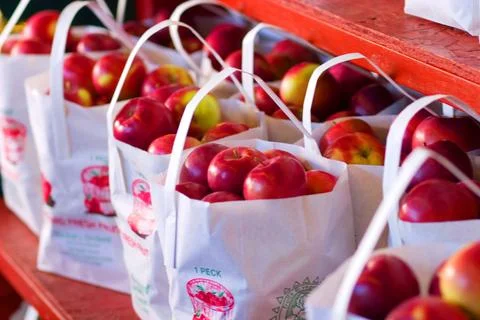 Apples Stock Photos