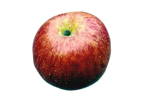 The apples Stock Photos