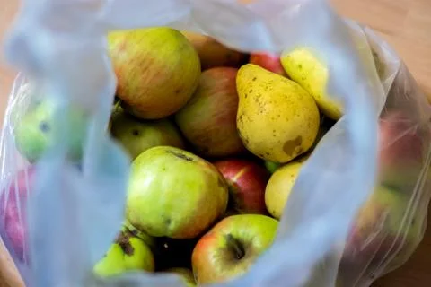 Apples in the plastic bag Stock Photos