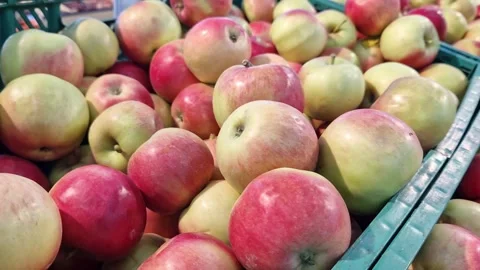 Apples in plastic boxes in a store, close-up. Ripe apples on sale Stock Footage 251849157
