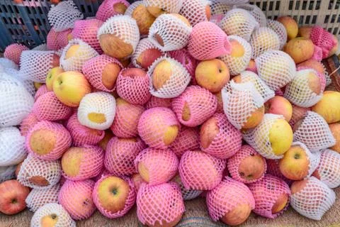Apples with protection. Stock Photos