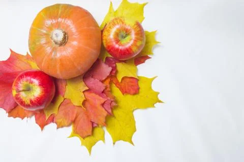 Apples, pumpkins and leaves Stock Photos